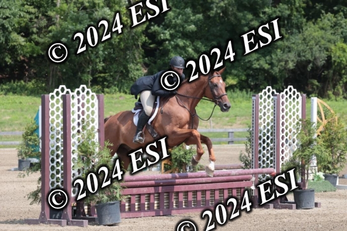 628SC1_8152