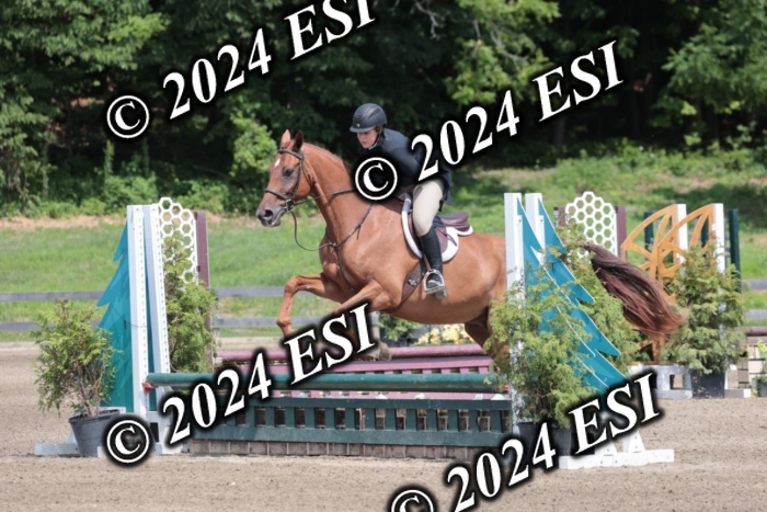 628SC1_8157
