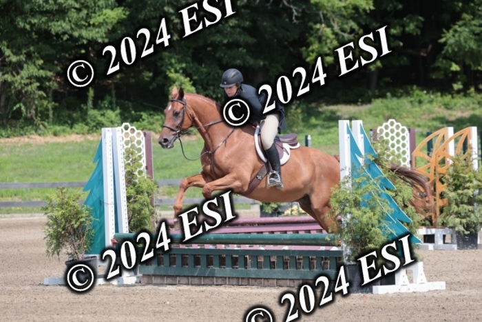 628SC1_8158