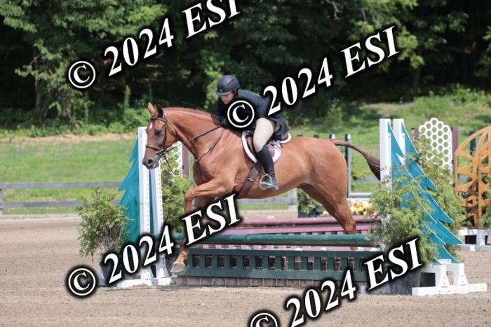 628SC1_8160
