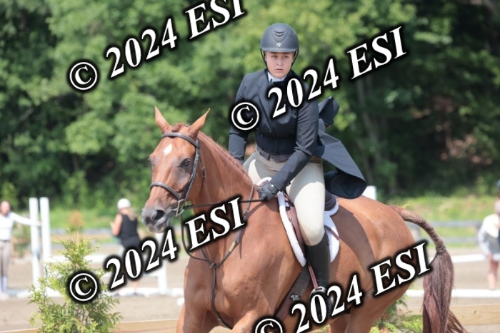 628SC1_8162