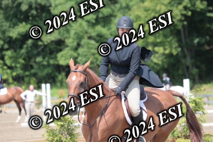 628SC1_8164