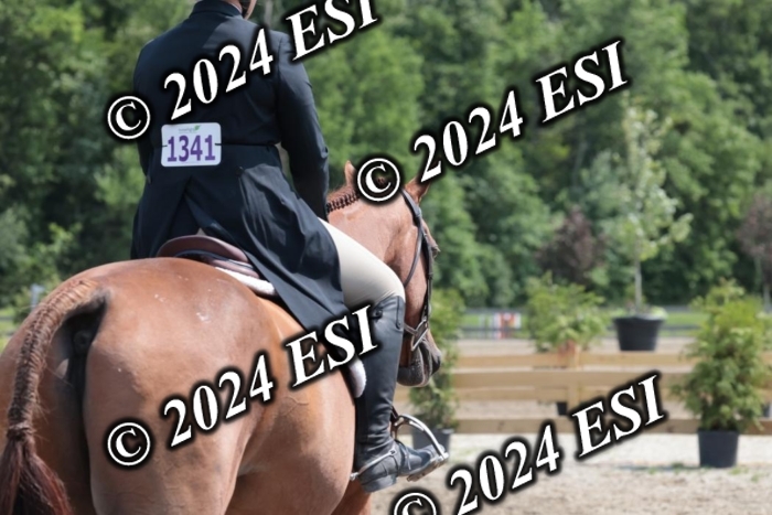 628SC1_8166
