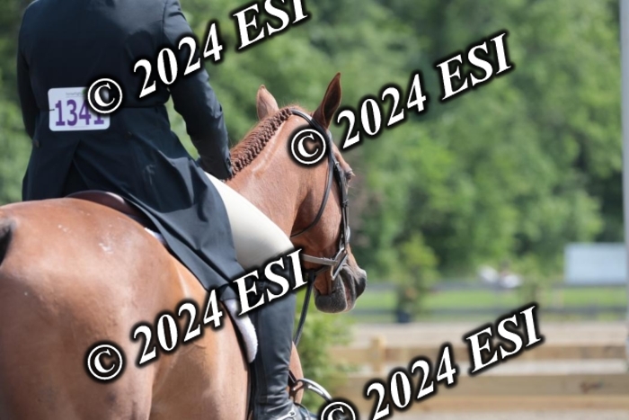 628SC1_8167