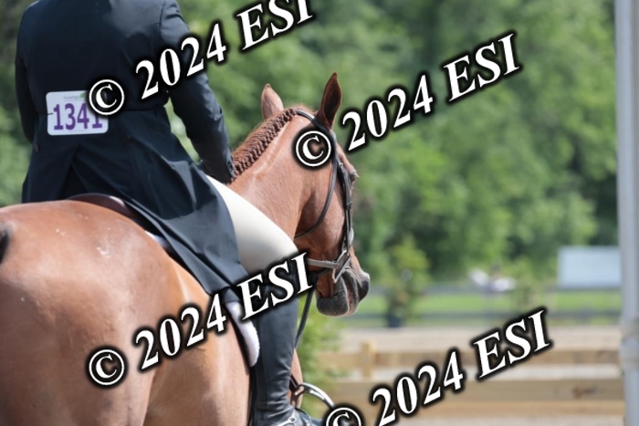 628SC1_8168
