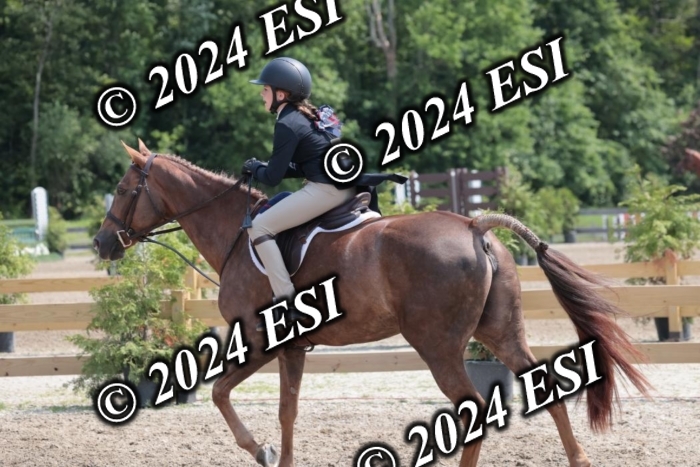 628SC1_8169