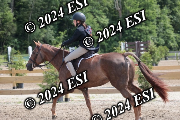 628SC1_8171