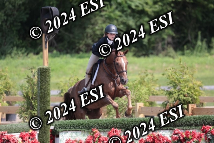 628SC1_8176