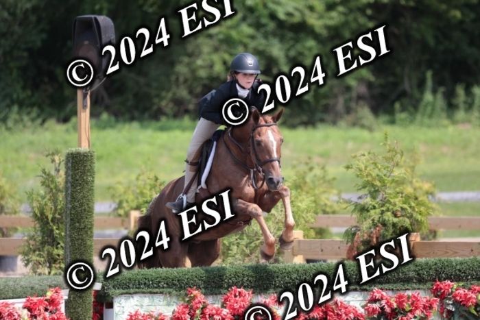 628SC1_8177