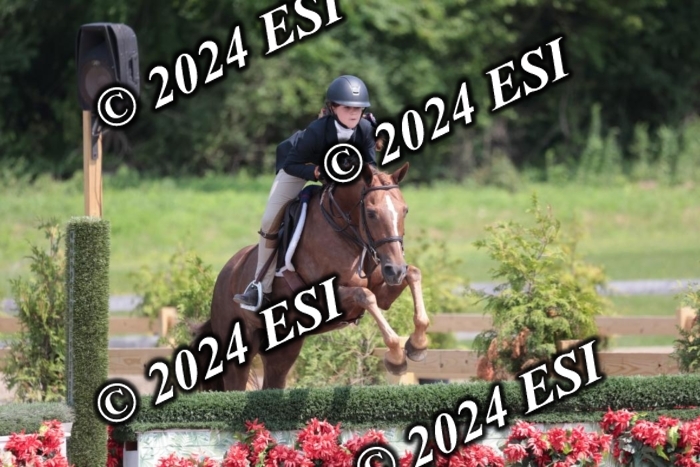 628SC1_8178