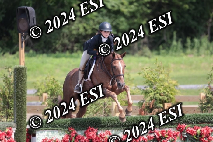628SC1_8179