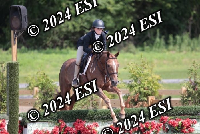628SC1_8180