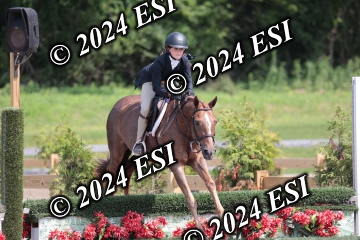 628SC1_8181