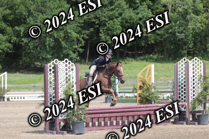 628SC1_8182