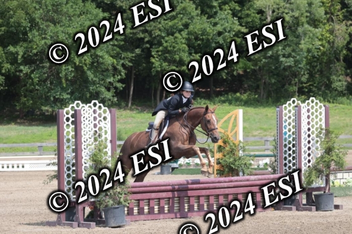 628SC1_8184