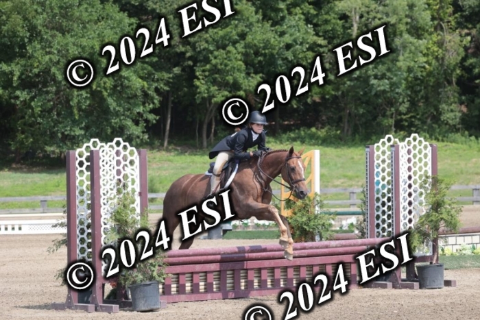 628SC1_8185