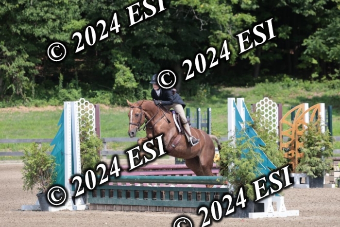 628SC1_8189