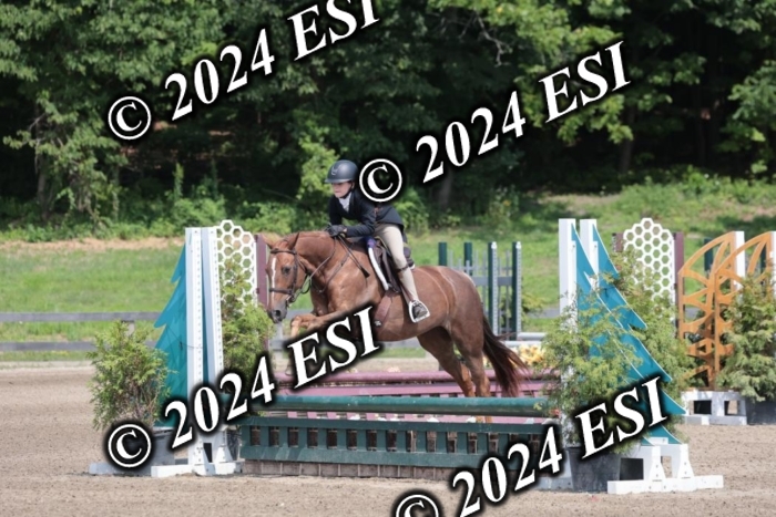 628SC1_8191