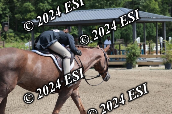 628SC1_8196