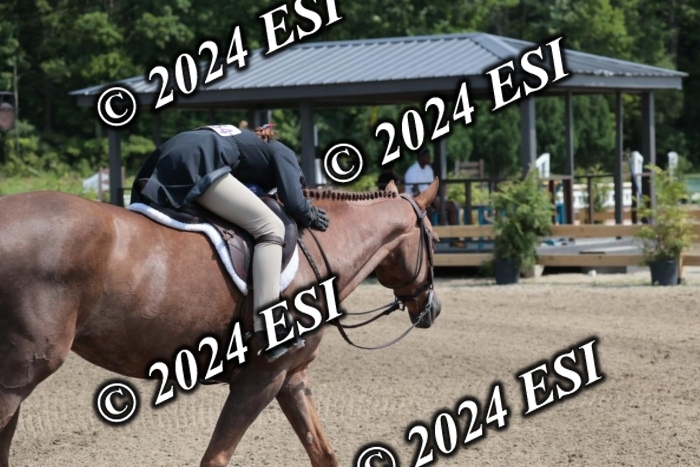 628SC1_8197