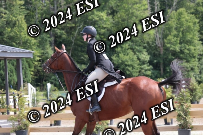 628SC1_8198