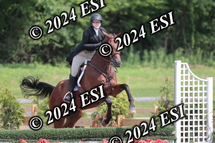 628SC1_8202