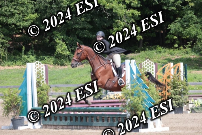 628SC1_8209