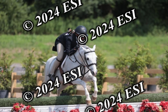 628SC1_8229