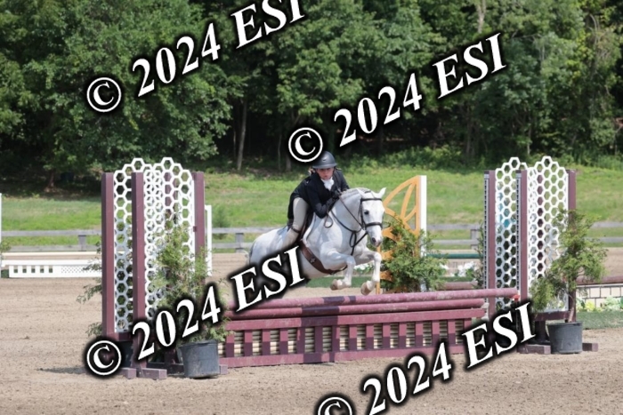 628SC1_8233