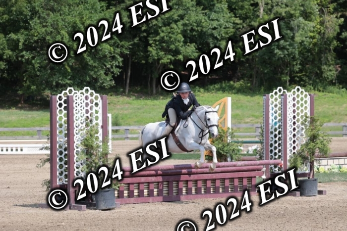 628SC1_8234