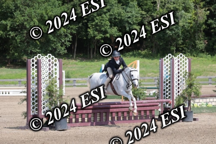 628SC1_8235
