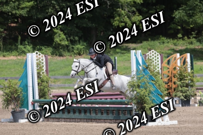628SC1_8236