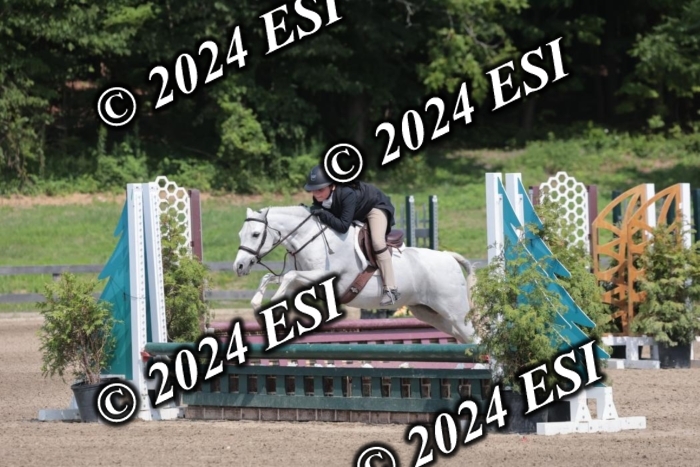 628SC1_8237