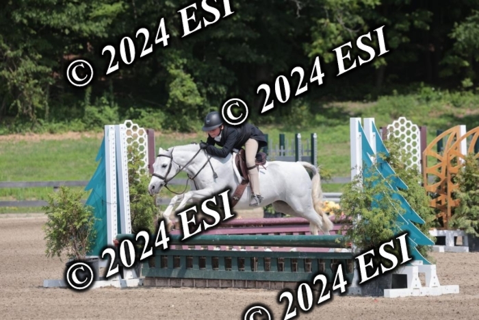 628SC1_8238