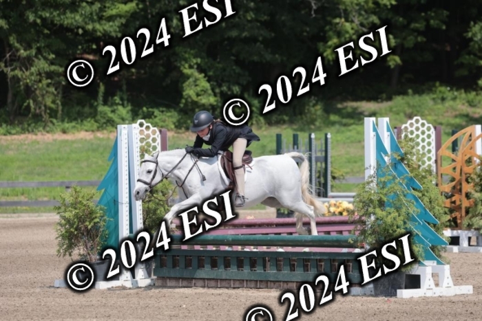 628SC1_8239