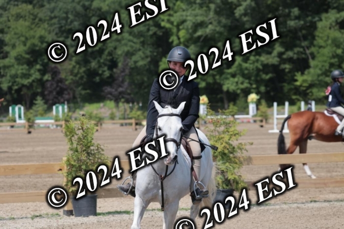 628SC1_8242