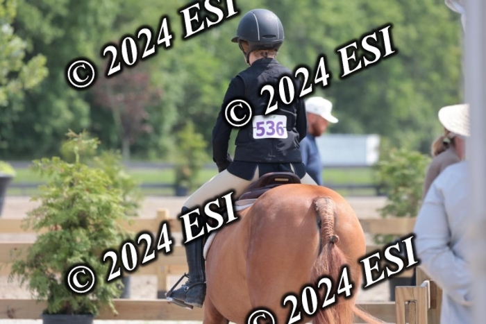 628SC1_8252