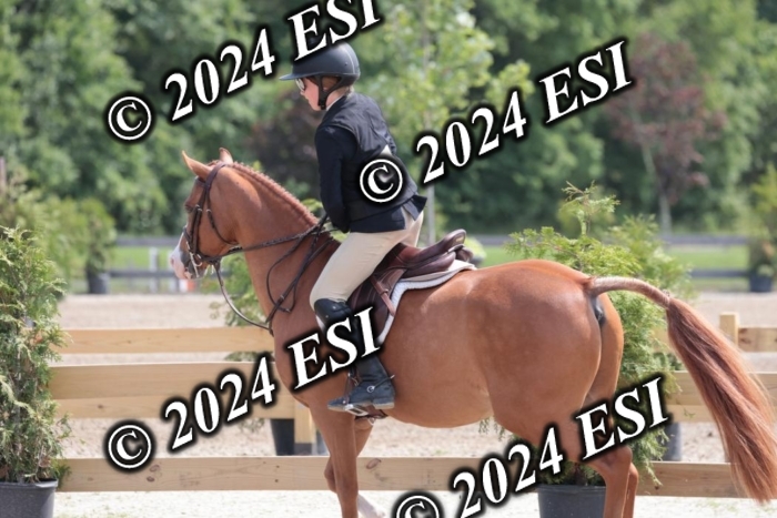 628SC1_8255