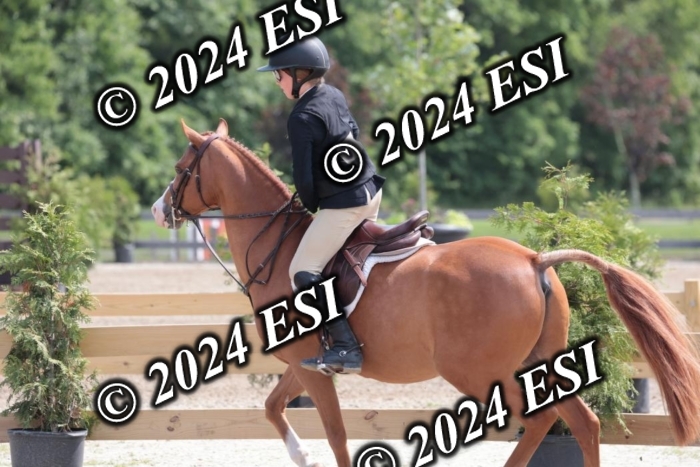 628SC1_8256