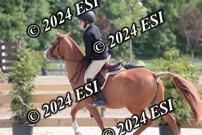 628SC1_8257