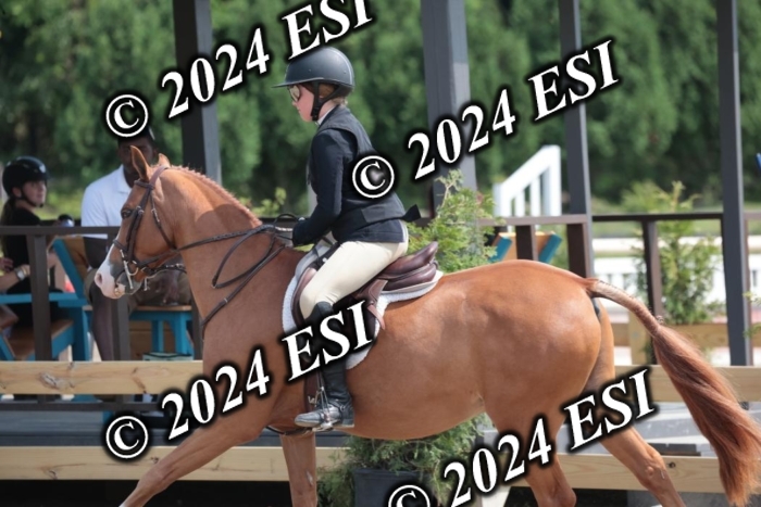 628SC1_8259