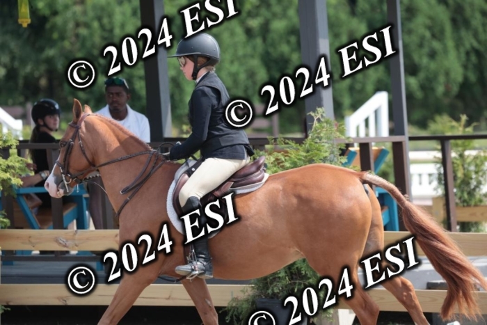628SC1_8260