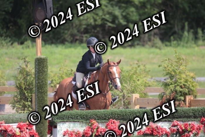 628SC1_8264