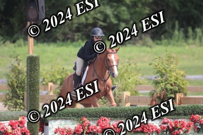 628SC1_8266