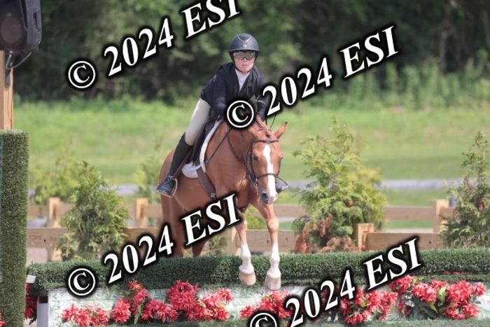 628SC1_8272