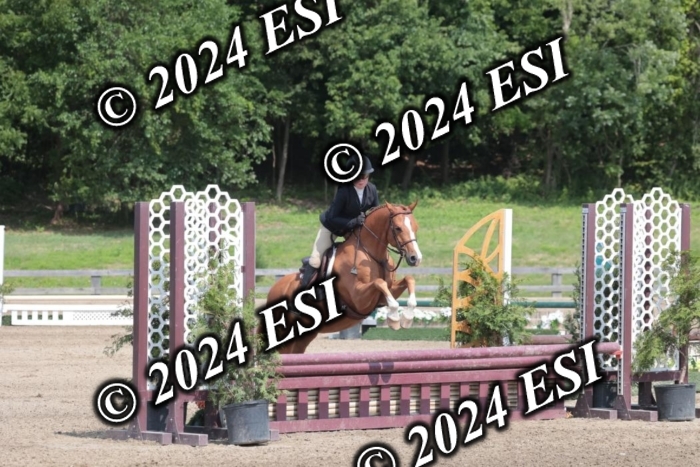 628SC1_8273