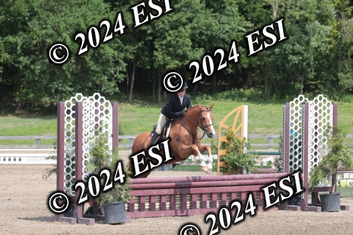 628SC1_8274