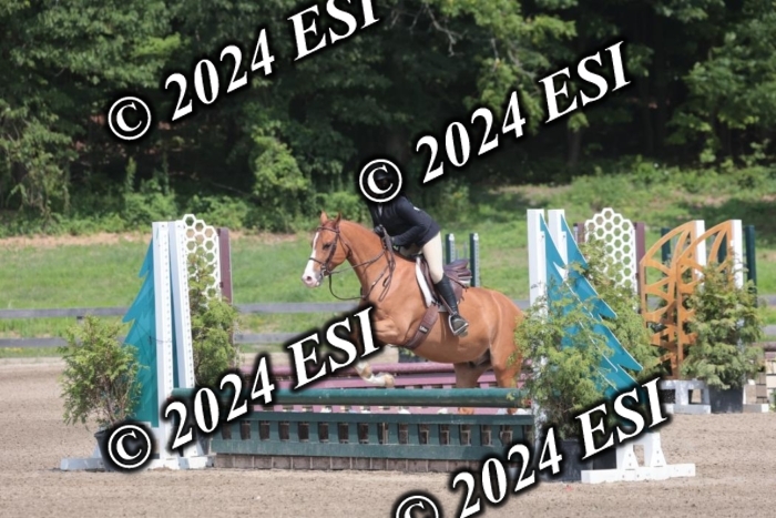 628SC1_8277