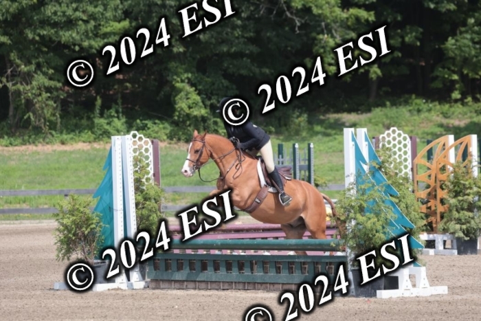 628SC1_8278