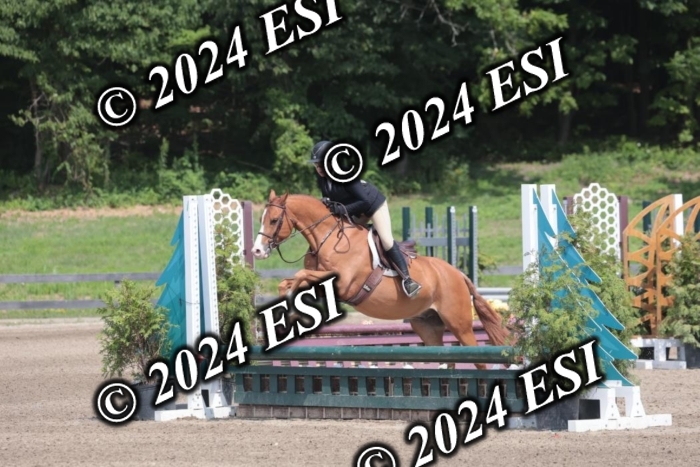 628SC1_8279